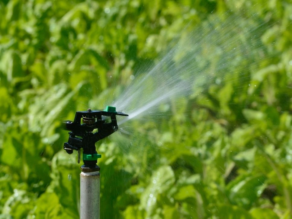 Smart Irrigations system